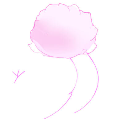 Tail ref close-up